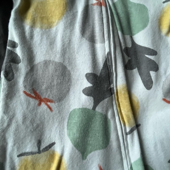 EUC Vegetable-themed Baby clothes (2 items) - 6M - Picture 2 of 7